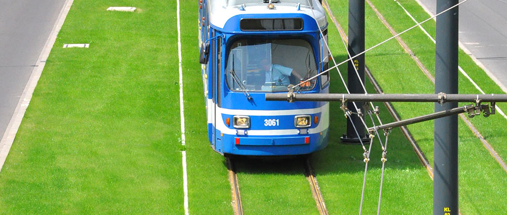 Tines Tram Eko Slab - zielone torowiska