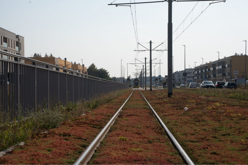 Nagroda-dla-toruńskiej-linii-tramwajowej